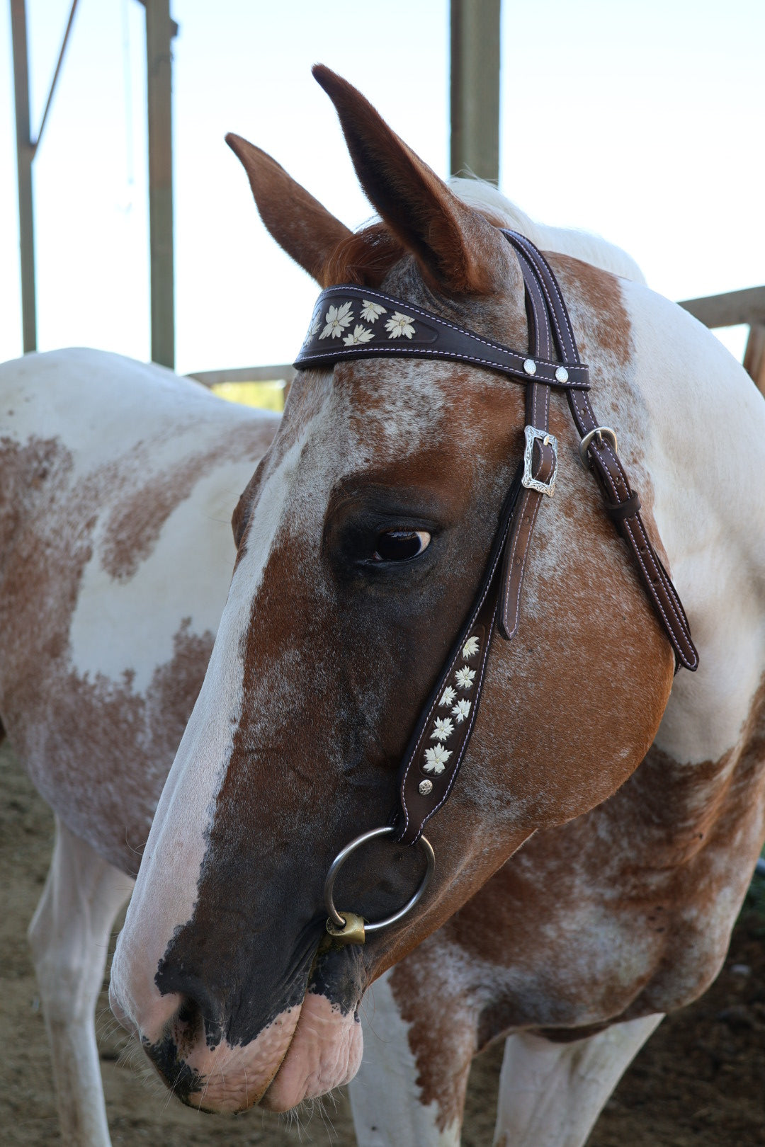 Woodland Star Headstall